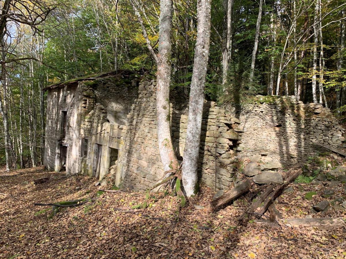 Gîte  Orée des bois Vertolaye Extérieur photo
