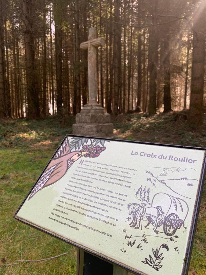 Gîte  Orée des bois Vertolaye Extérieur photo
